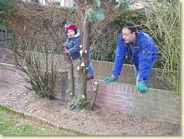 20060318-01 De boom moet omver 1